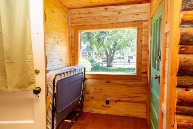 289 S Main St, Creede, CO 81130 - doorway to outside featuring dark wood finished floors and wooden walls