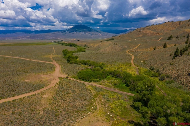 drone / aerial view with a rural view and a mountain view