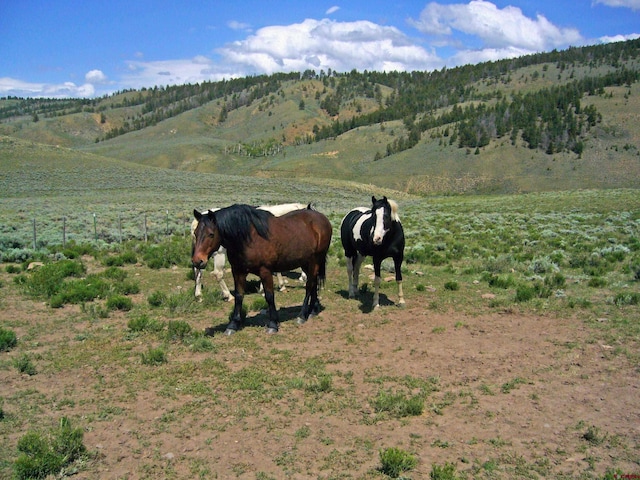 view of mountain feature with a rural view