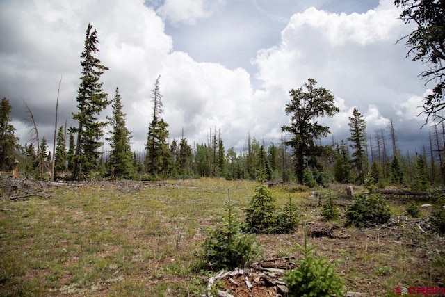 TBD Forest Rd 503, Creede CO, 81130 land for sale