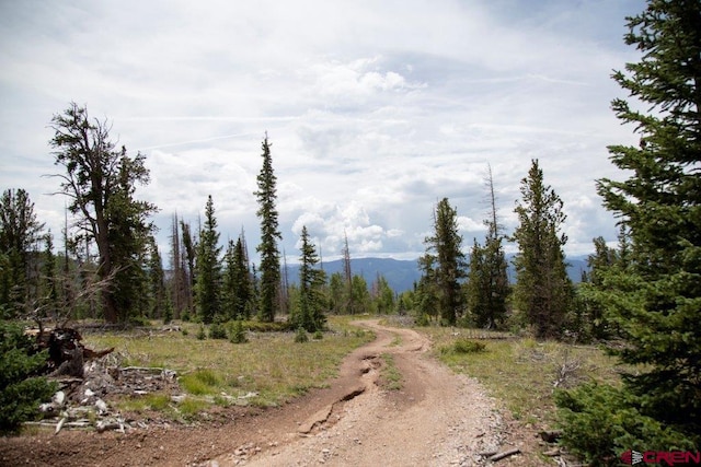 Listing photo 2 for TBD Forest Rd 503, Creede CO 81130