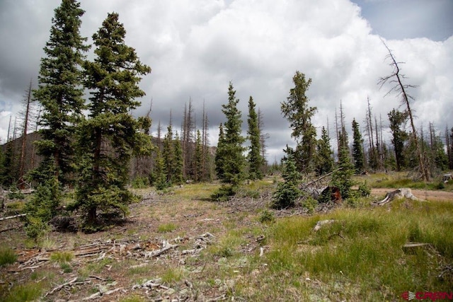 Listing photo 3 for TBD Forest Rd 503, Creede CO 81130