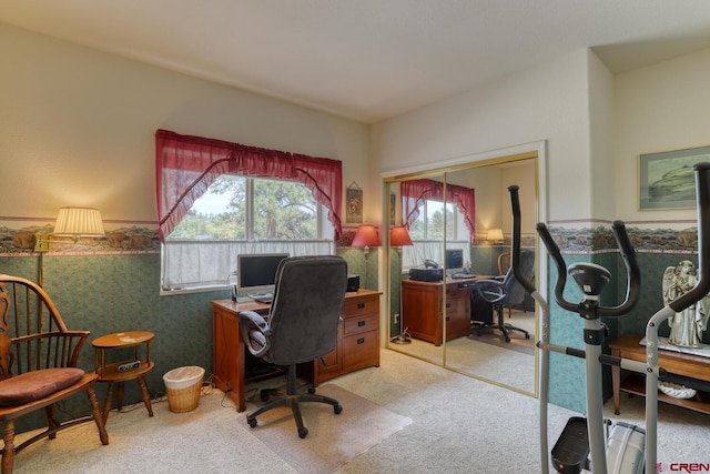 office area featuring light colored carpet