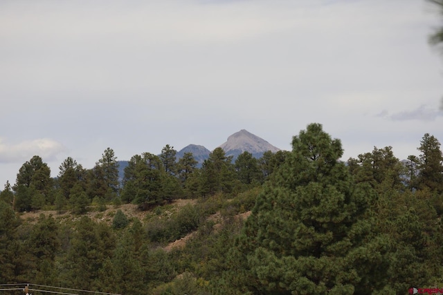 view of mountain feature