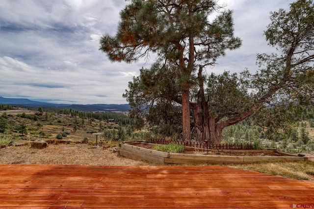 view of yard featuring a mountain view