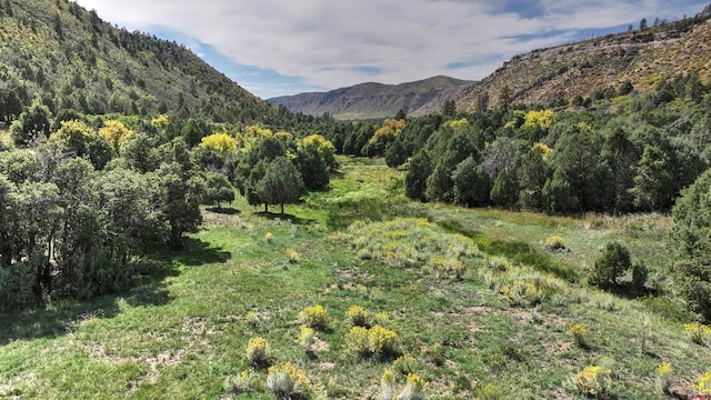 TBD Road 46, Mancos CO, 81328 land for sale