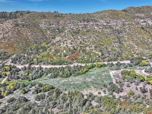 Listing photo 3 for TBD Road 46, Mancos CO 81328