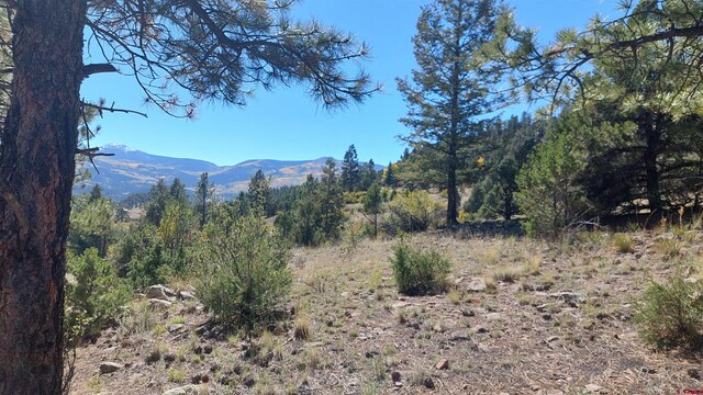 1685 Bear Creek Cir, South Fork CO, 81154 land for sale