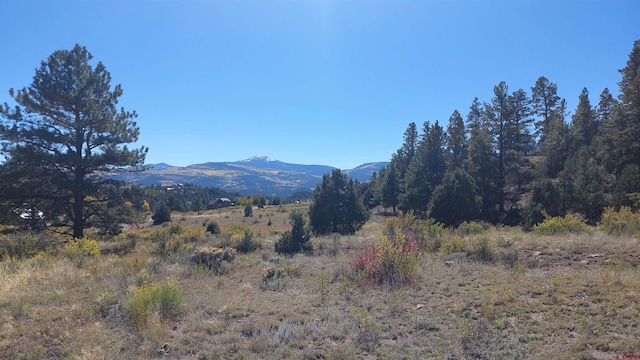 Listing photo 3 for 1685 Bear Creek Cir, South Fork CO 81154