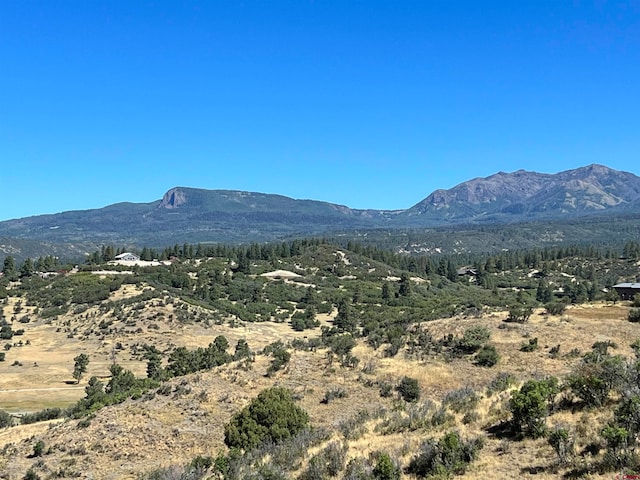 558 Henry Lake Dr, Pagosa Springs CO, 81147 land for sale