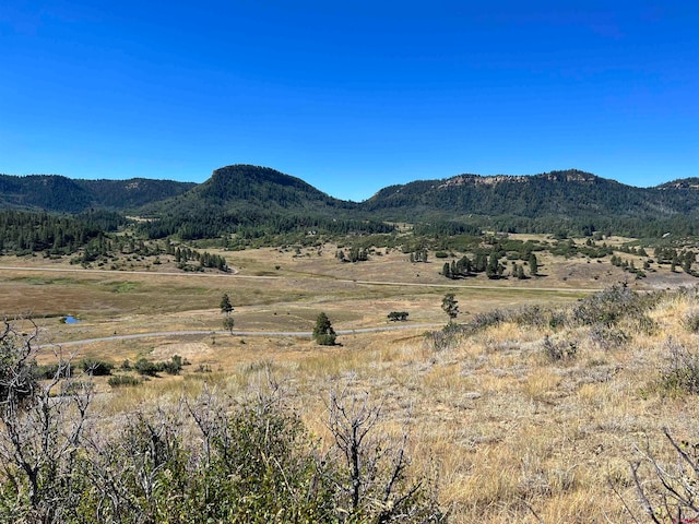 Listing photo 3 for 558 Henry Lake Dr, Pagosa Springs CO 81147