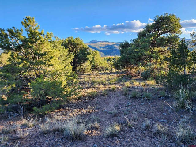 580 Kit Carson Rd, South Fork CO, 81154 land for sale