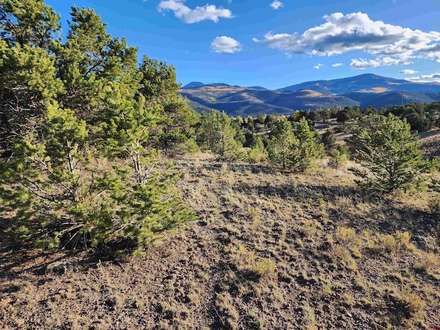 559 Orondoa Rd, South Fork CO, 81154 land for sale