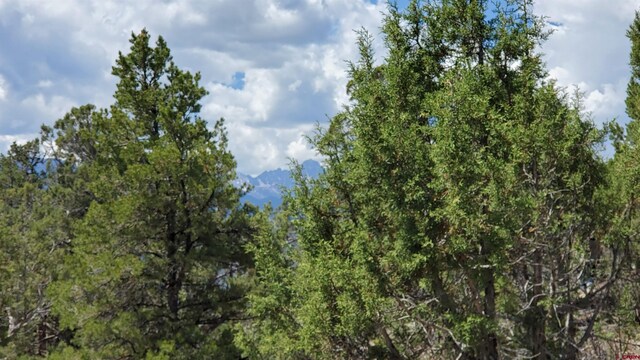 LOT37 Pine Dr, Ridgway, CO 81432