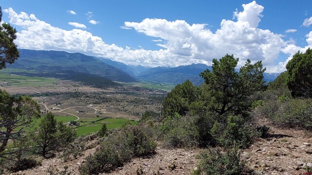 LOT37 Pine Dr, Ridgway, CO 81432