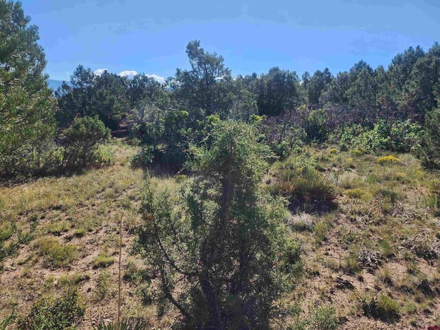 LOT37 Pine Dr, Ridgway, CO 81432