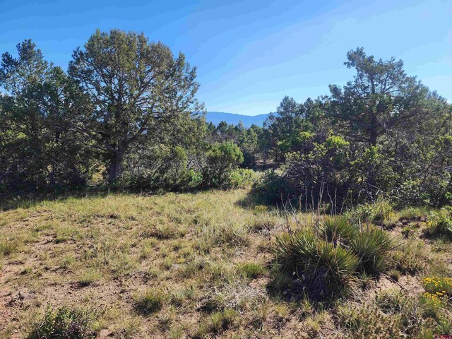 LOT37 Pine Dr, Ridgway, CO 81432