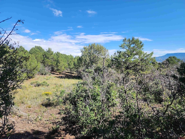 LOT37 Pine Dr, Ridgway, CO 81432