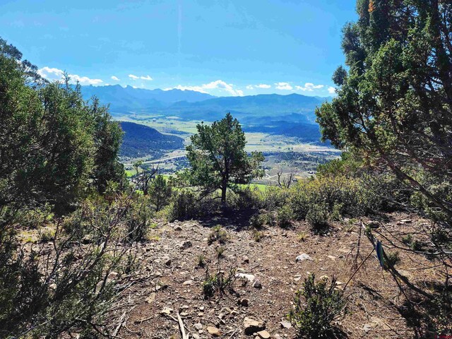 LOT37 Pine Dr, Ridgway, CO 81432