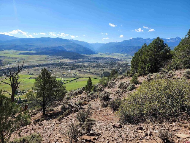 LOT37 Pine Dr, Ridgway, CO 81432