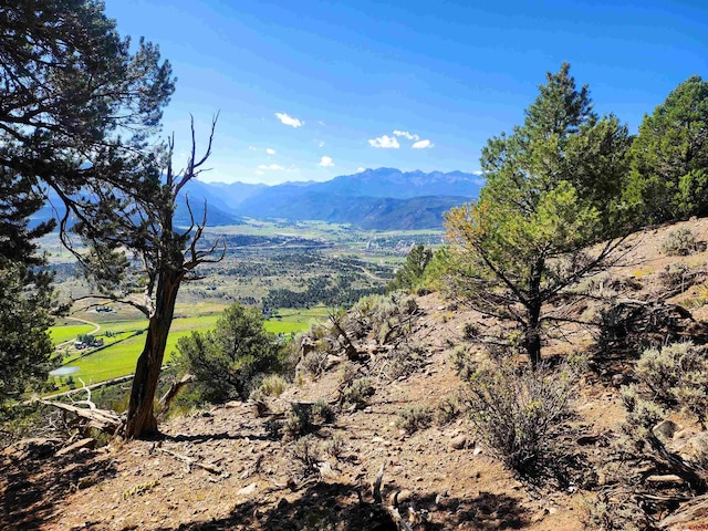 LOT37 Pine Dr, Ridgway, CO 81432