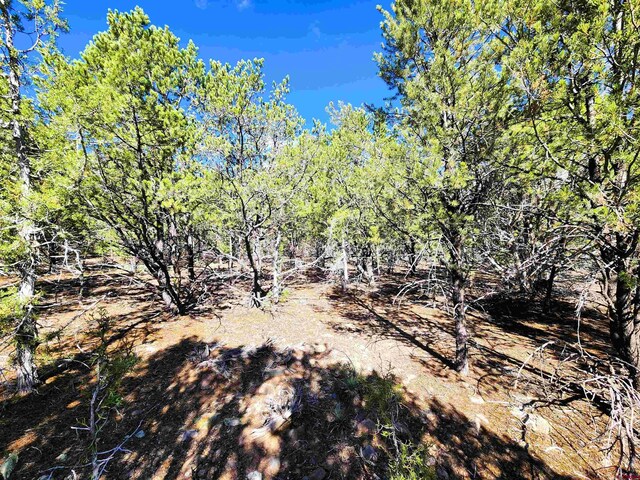 LOT37 Pine Dr, Ridgway, CO 81432