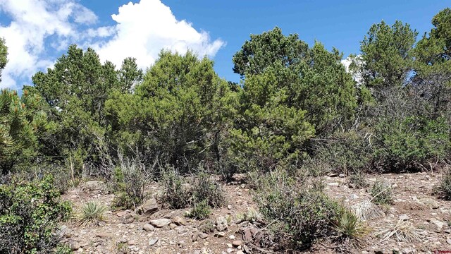 LOT37 Pine Dr, Ridgway, CO 81432