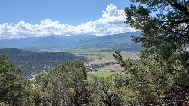 LOT37 Pine Dr, Ridgway, CO 81432