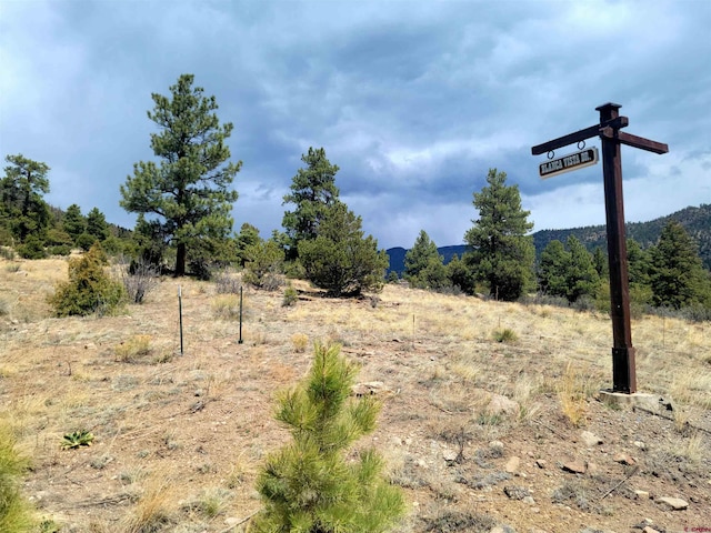 506 Blanca Vista Dr, South Fork CO, 81154 land for sale