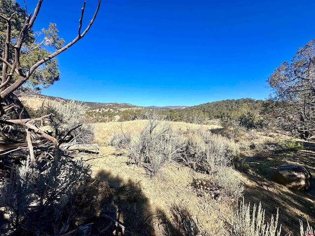 TBD Cactus Park Rd, Cedaredge CO, 81413 land for sale