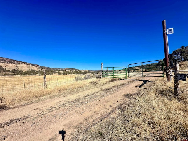 Listing photo 2 for TBD Cactus Park Rd, Cedaredge CO 81413