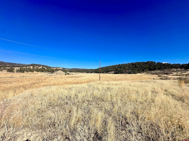 Listing photo 3 for TBD Cactus Park Rd, Cedaredge CO 81413