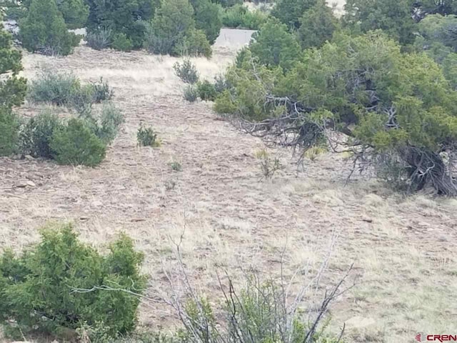 Listing photo 3 for TBD Little Bear Cir S, Fork CO 81154