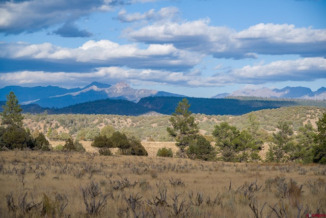 Listing photo 3 for 15157 County Road 500, Pagosa Springs CO 81147