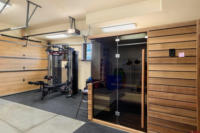 103 Double Eagle Way, Mountain Village, CO 81435 - exercise room with concrete flooring