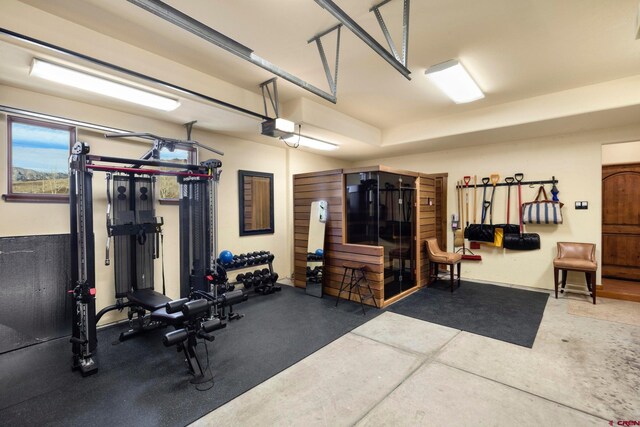 103 Double Eagle Way, Mountain Village, CO 81435 - view of exercise room