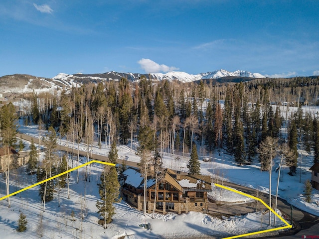 103 Double Eagle Way, Mountain Village, CO 81435 - view of mountain feature