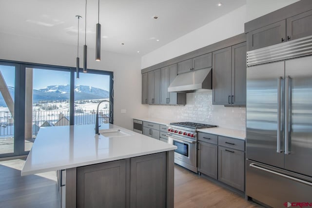 kitchen with sink, decorative light fixtures, high quality appliances, a mountain view, and an island with sink