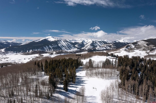 E44 Prospect Dr, Mount Crested Butte CO, 81225 land for sale