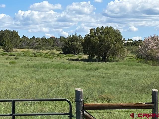 21769 Rd V, Lewis, CO 81327