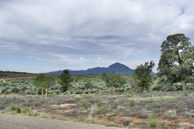 LOT19 Rd K.3, Cortez CO, 81321 land for sale