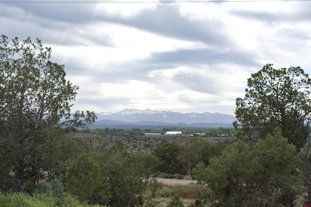 Listing photo 2 for LOT19 Rd K.3, Cortez CO 81321