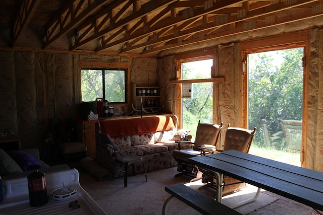 living room with vaulted ceiling and plenty of natural light