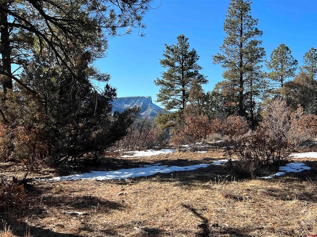 737 Starling Cir, Pagosa Springs CO, 81147 land for sale