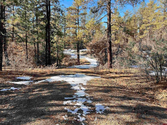 Listing photo 3 for 737 Starling Cir, Pagosa Springs CO 81147