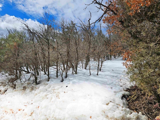 2892 Crooked Rd, Pagosa Springs CO, 81147 land for sale