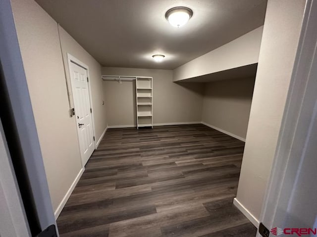 walk in closet featuring dark hardwood / wood-style floors