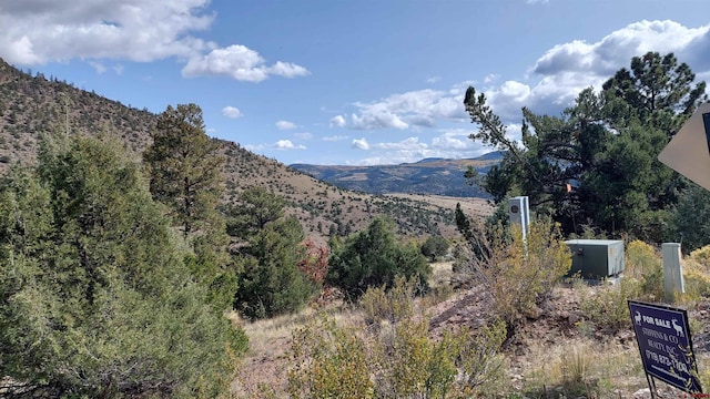 394 Timberline Dr, South Fork CO, 81154 land for sale