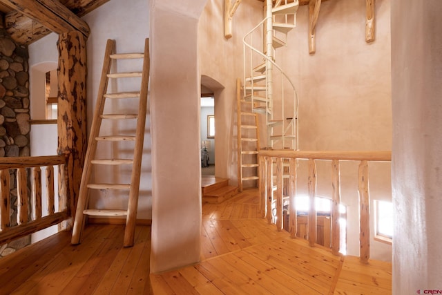 stairs with light hardwood / wood-style flooring