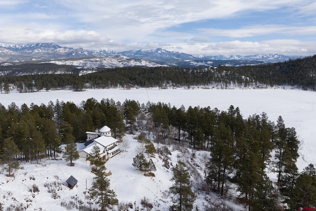 snowy aerial view featuring a mountain view